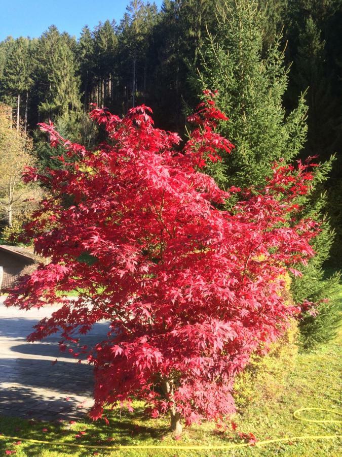Gasthof Waldrast Zell am Ziller Luaran gambar